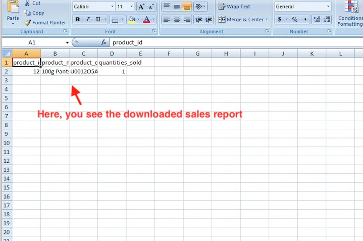 Sales Report and Manage Export — illustration 12