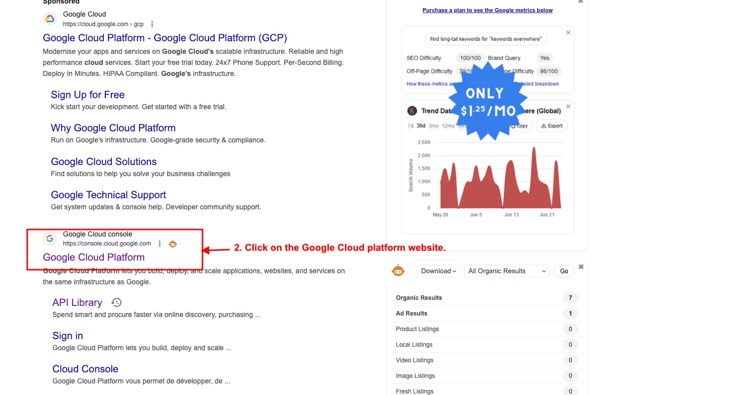google result page