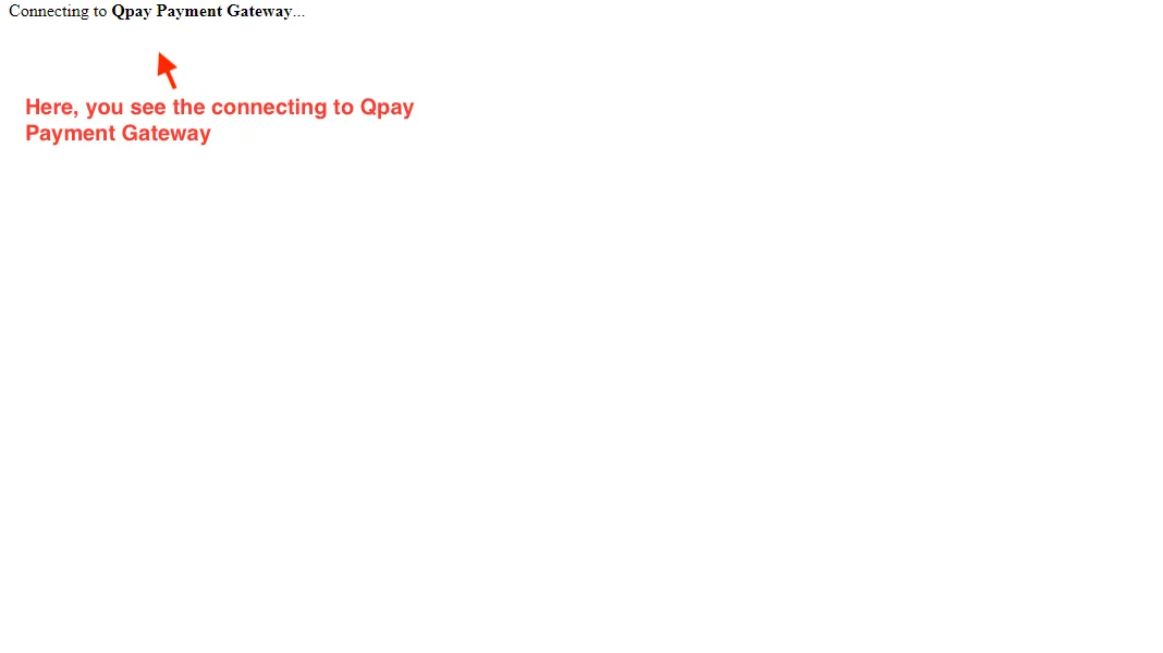 QPay Payment Gateway — illustration 7