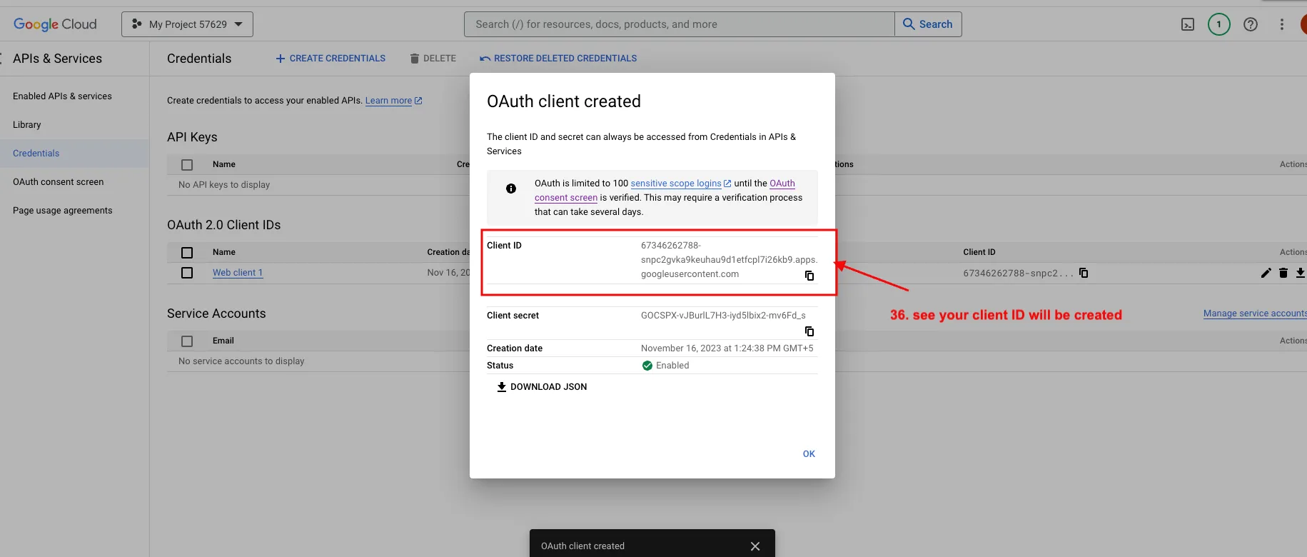OAuth consent screen page 6
